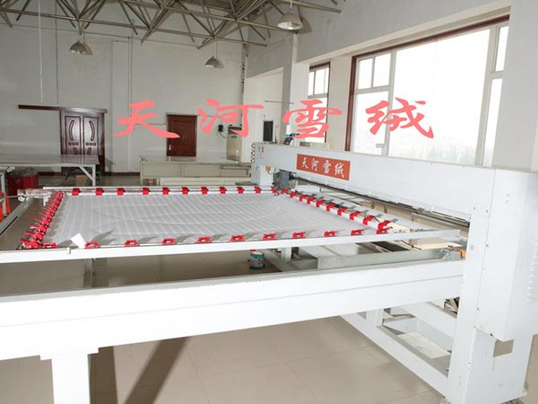 公司實(shí)力